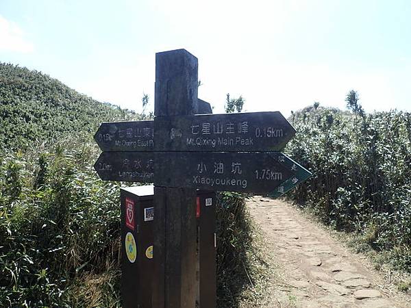 七星山步道 (82).JPG