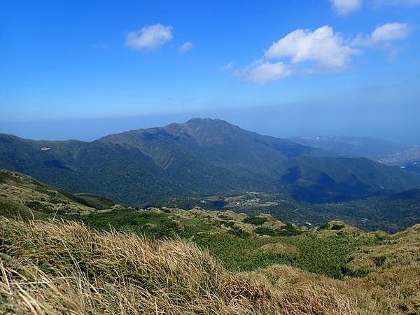 七星山步道 (101).JPG