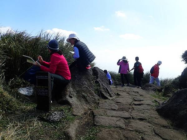 七星山步道 (118).JPG