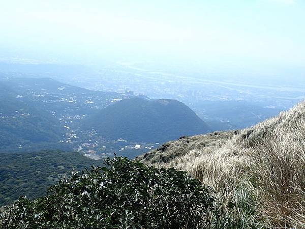 七星山步道 (125).JPG