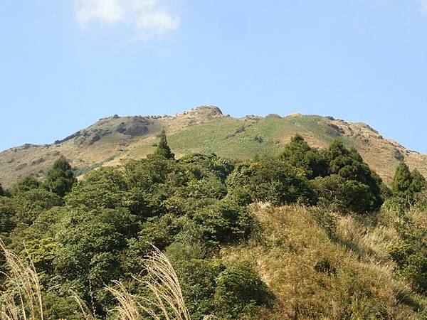七星山步道 (172).JPG