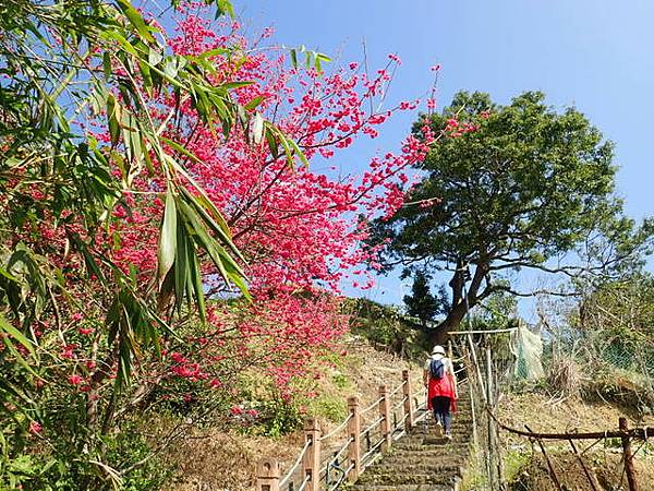 雙溪溝古道 (131).JPG