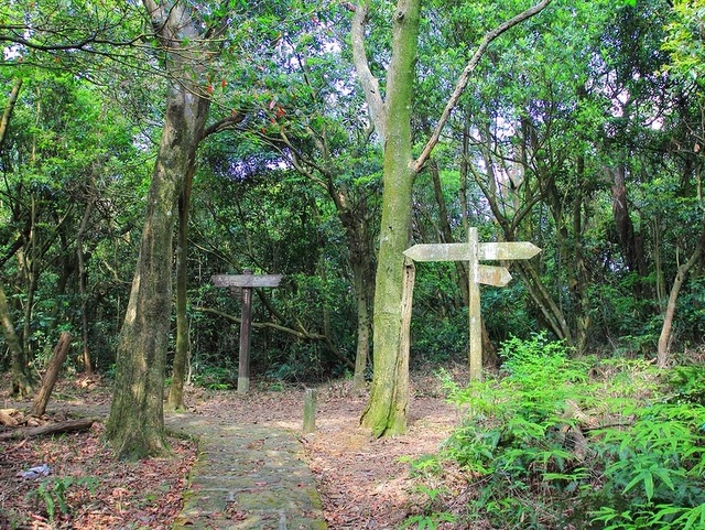 雙溪溝古道 (386).jpg