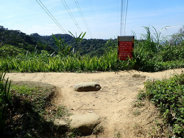 中埔山 (216).JPG