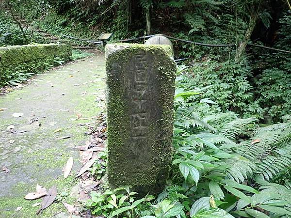 騎龍古道 (39).JPG