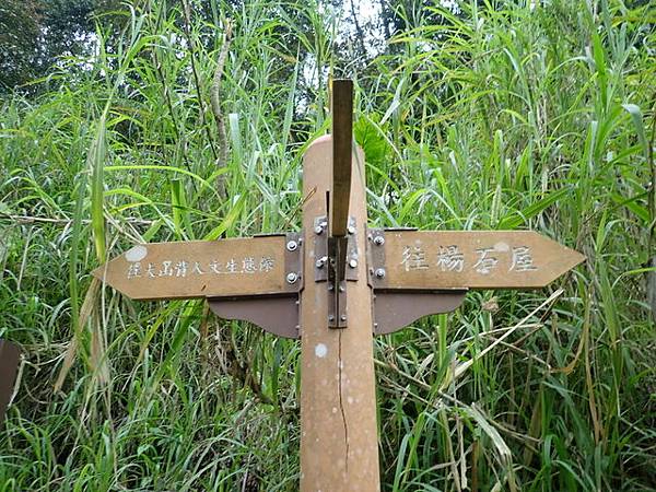 騎龍古道 (52).JPG