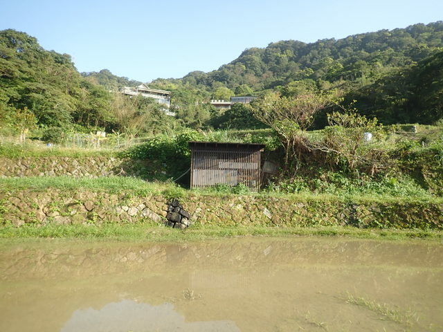 樟山寺 (46).JPG