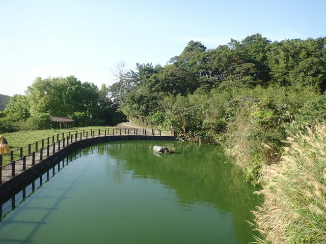 樟山寺 (47).JPG