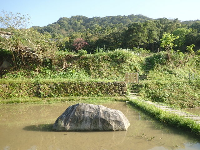 樟山寺 (50).JPG