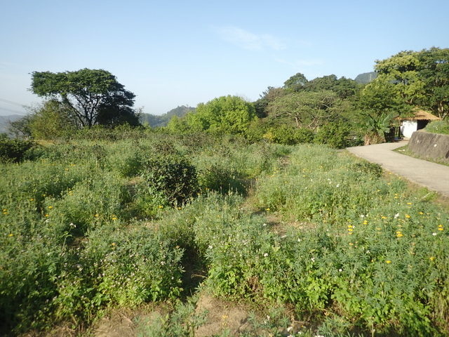 樟山寺 (71).JPG