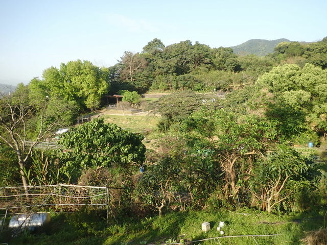 樟山寺 (70).JPG