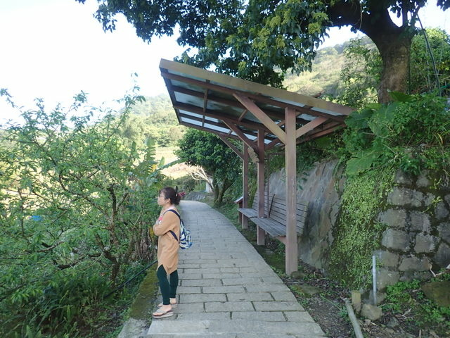 樟山寺 (79).JPG