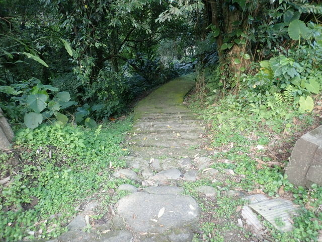 樟山寺 (180).JPG