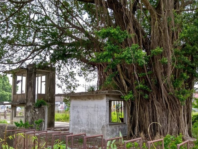 糖鐵國家綠道 (26).JPG