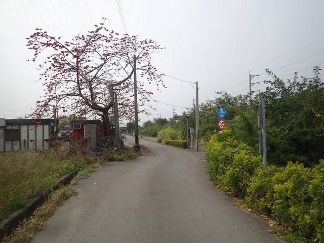 糖鐵國家綠道 (54).JPG