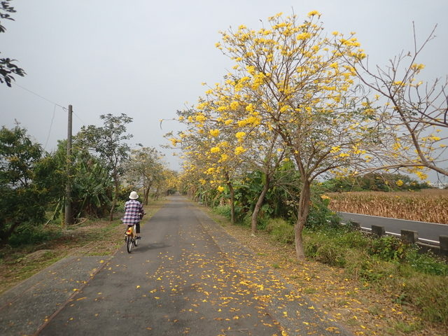 糖鐵國家綠道 (65).JPG 糖鐵國家綠道 (65).JPG