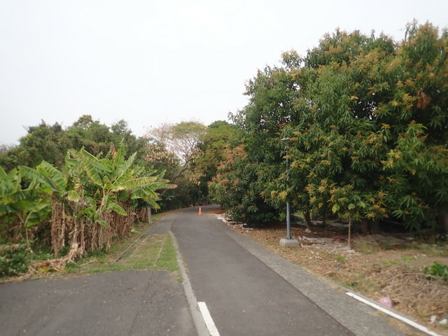 糖鐵國家綠道 (86).JPG