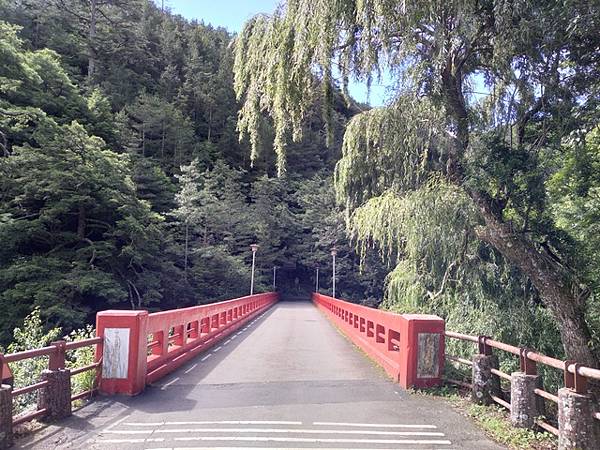 桃山瀑布 (1).jpg