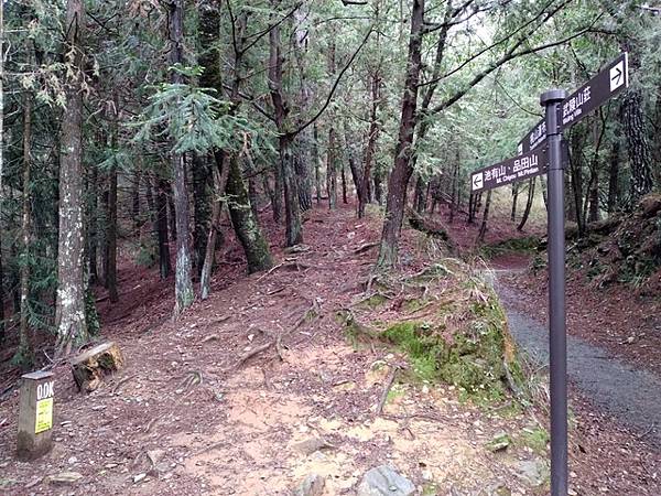 桃山瀑布 (29).jpg