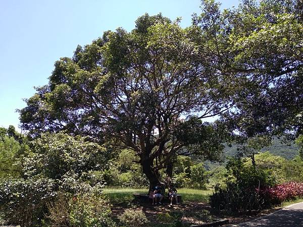 萬里中福村 (27).jpg