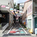 甲仙 (8).JPG