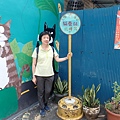 甲仙 (13).JPG