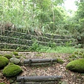 甲仙 (46).JPG