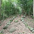 甲仙 (45).JPG