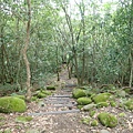 甲仙 (47).JPG