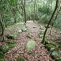 甲仙 (64).JPG