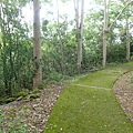 甲仙 (63).JPG