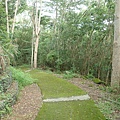 甲仙 (62).JPG