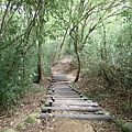 甲仙 (65).JPG