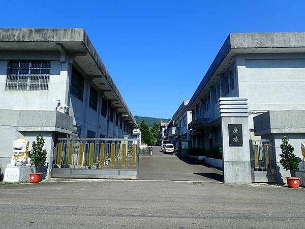 九芎根山 (9).JPG