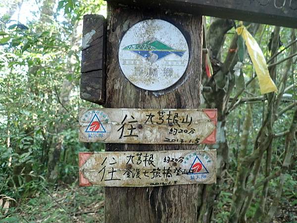 九芎根山 (46).JPG