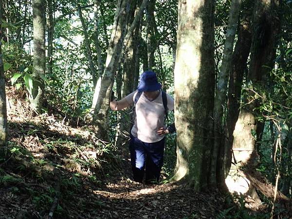 九芎根山 (50).JPG