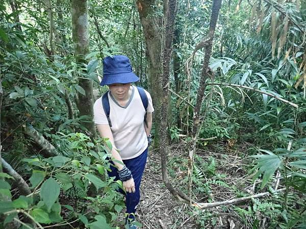 九芎根山 (82).JPG