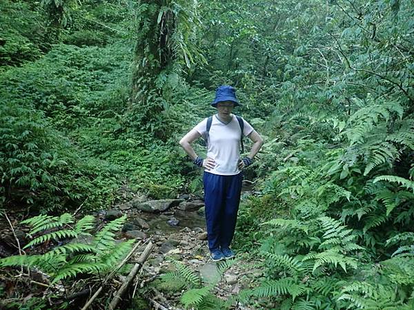 九芎根山 (128).JPG