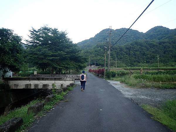 九芎根山 (142).JPG