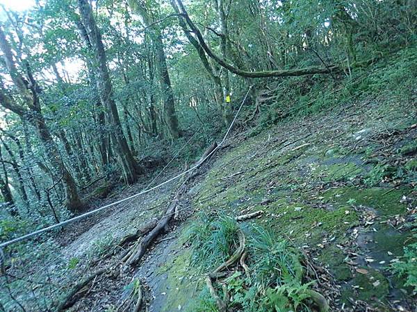 北插天山 (69).JPG