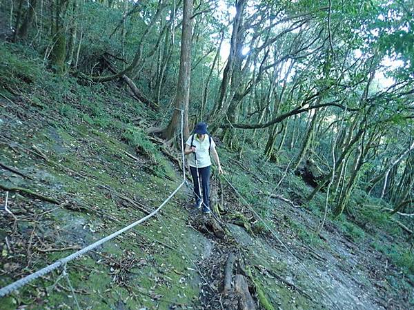 北插天山 (70).JPG