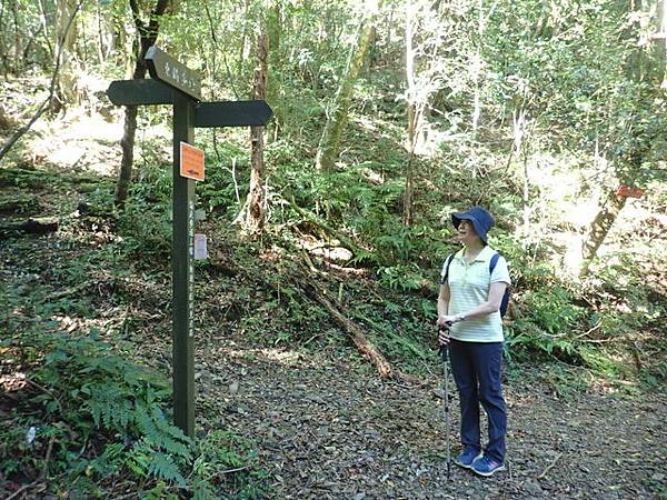 北插天山 (72).JPG