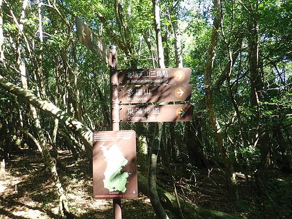 北插天山 (79).JPG