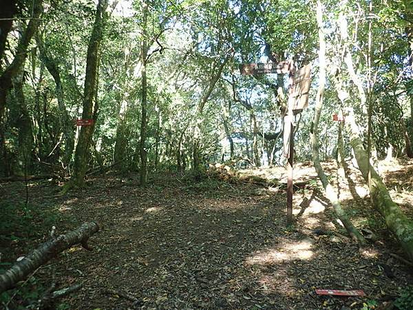 北插天山 (82).JPG