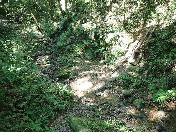 北插天山 (95).JPG