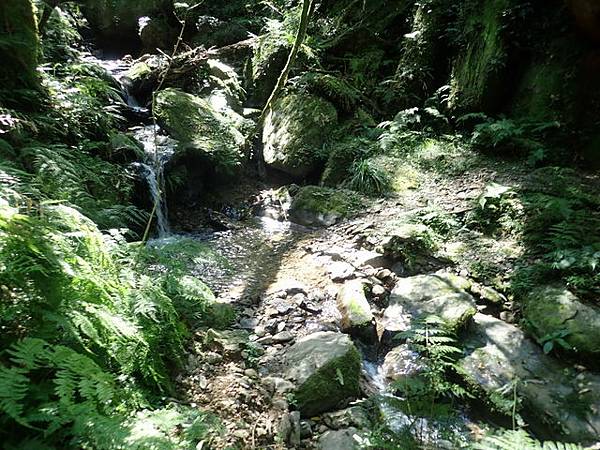 北插天山 (107).JPG