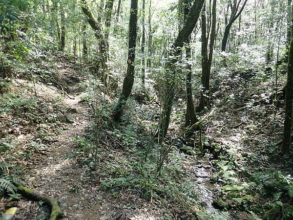 北插天山 (116).JPG