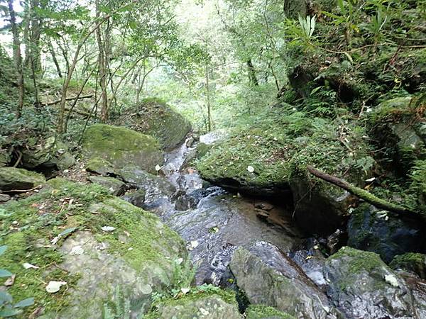 北插天山 (119).JPG