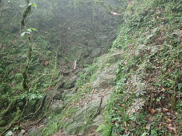 北插天山 (134).JPG