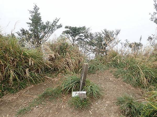 北插天山 (146).JPG